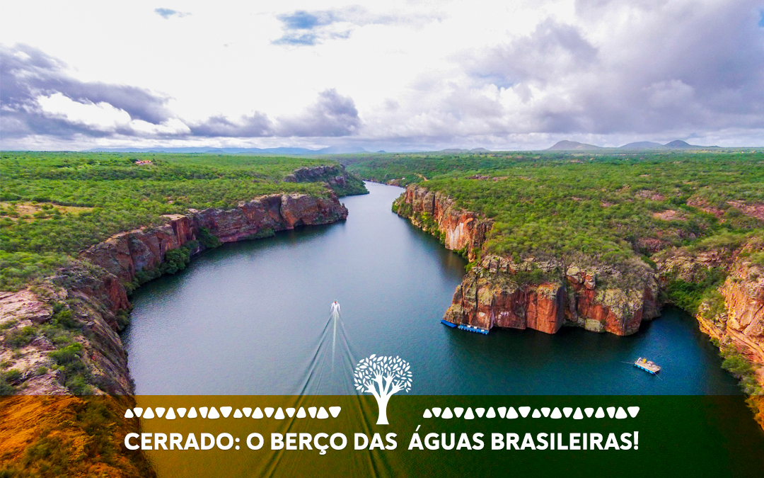 Cerrado: o berço das águas brasileiras!