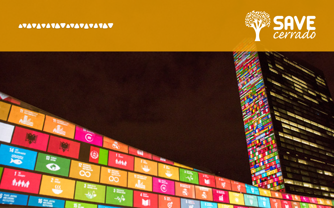 Você sabe quais são os 17 objetivos da ONU?