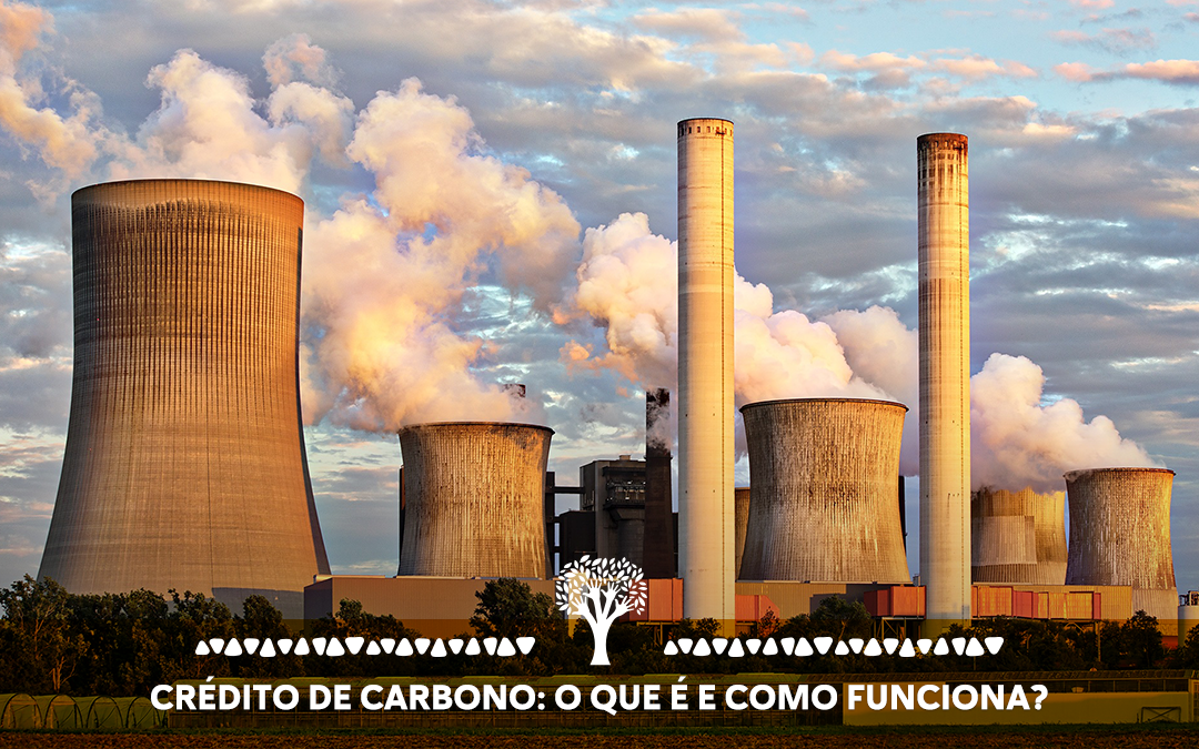 Crédito de carbono: o que é e como funciona?