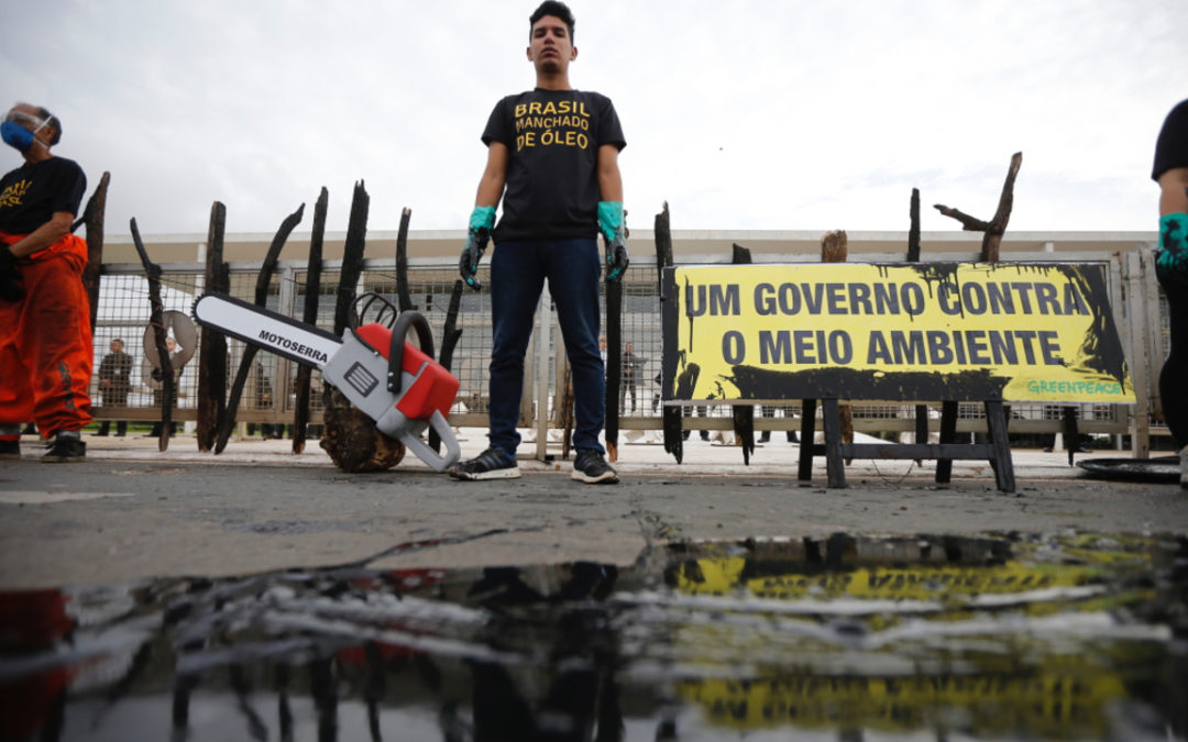 5 ações que as ONGs fizeram pelo meio ambiente (e o governo não fez)