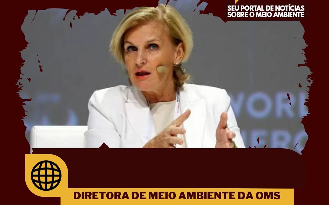 Diretora da OMS afirma: “A prática de desmatamento tem efeitos devastadores para o futuro da humanidade.”