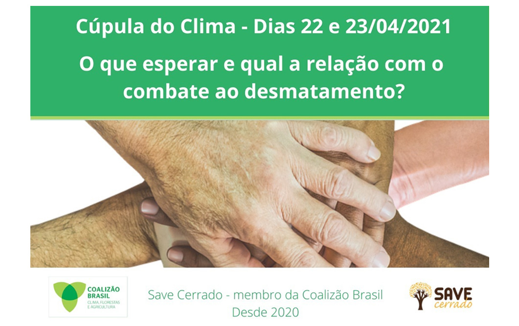 Cúpula do Clima e o combate ao desmatamento, qual a expectativa?